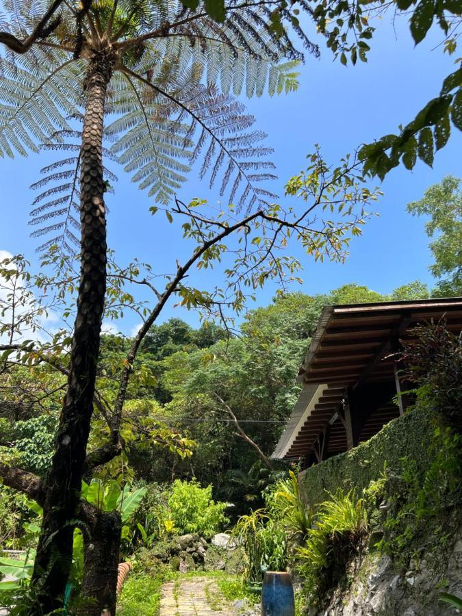 Yama'Oto - Nature Luxury Stay Мотобу Екстериор снимка